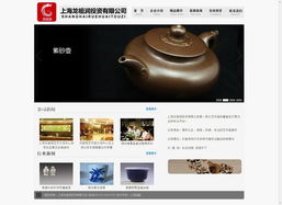 上海網絡營銷案例集錦 從網站建設到整合推廣的精算師式成功實踐